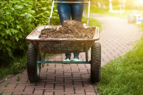 Professional waste removal benefits
